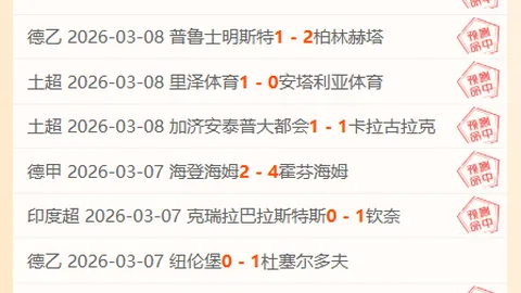 波鸿与不来梅17轮较量1-1平分秋色，精彩瞬间回顾